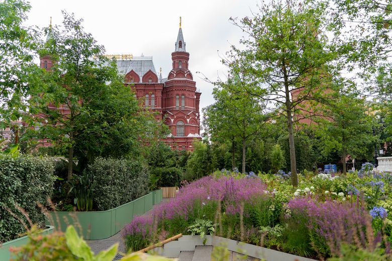 Сколько растений нужно для непрерывного цветения на участке 10-15 соток?